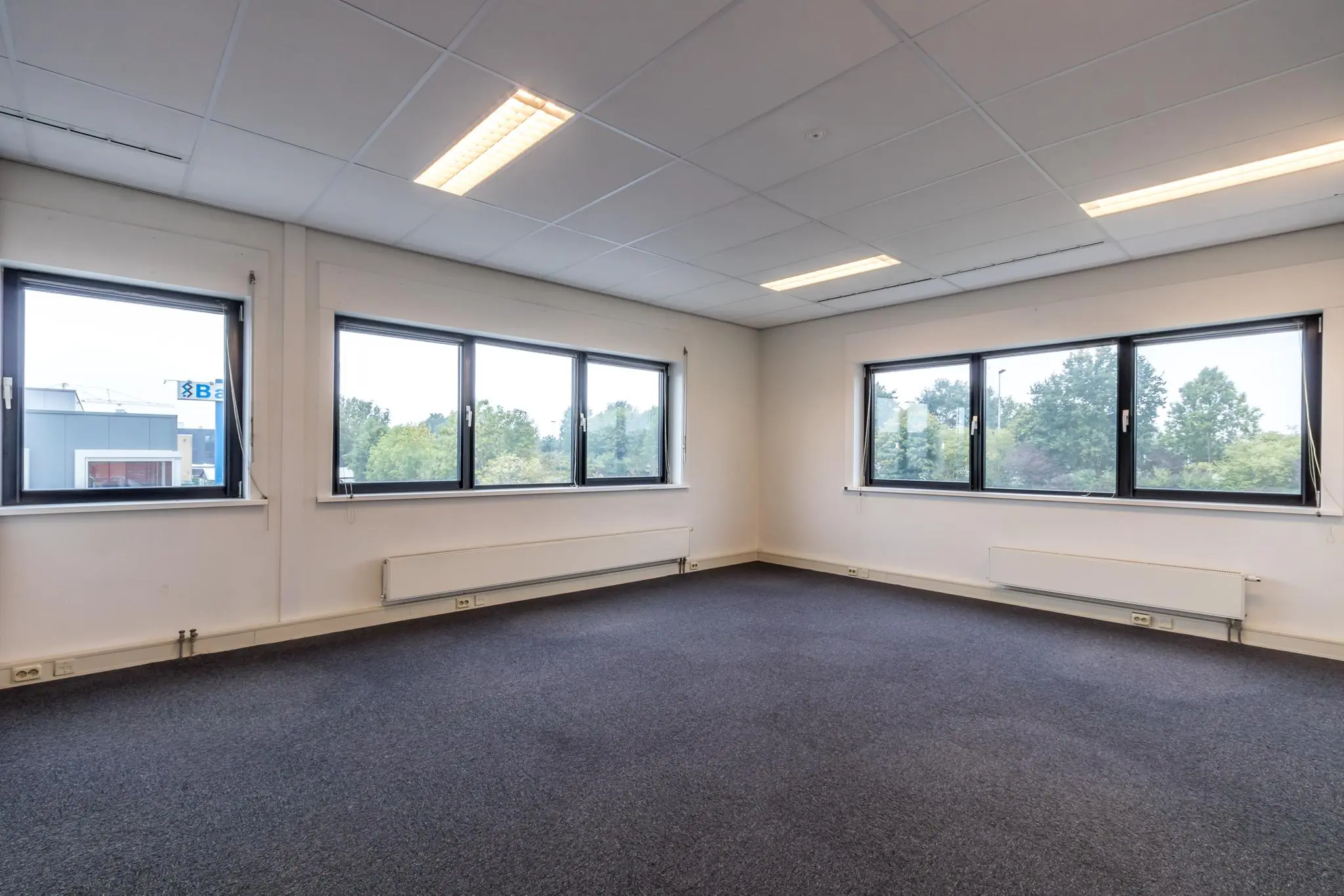 Licht kantoor met blauw tapijt en grote ramen aan de Lage Biezenweg.